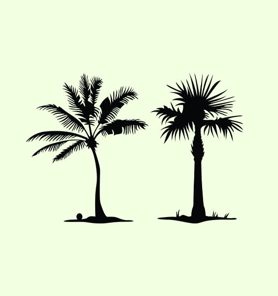 palm-tree svg