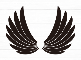 Angel wings 4