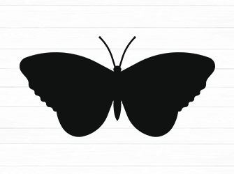 butterfly svg outline