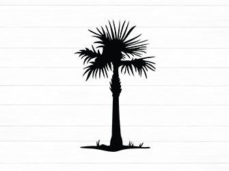 palm tree svg