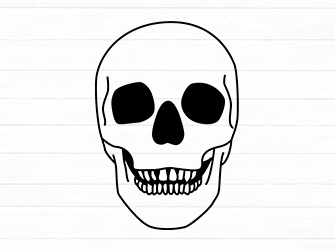 outline skull svg