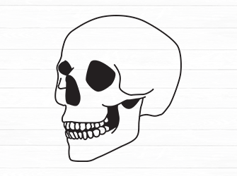 outline skull svg